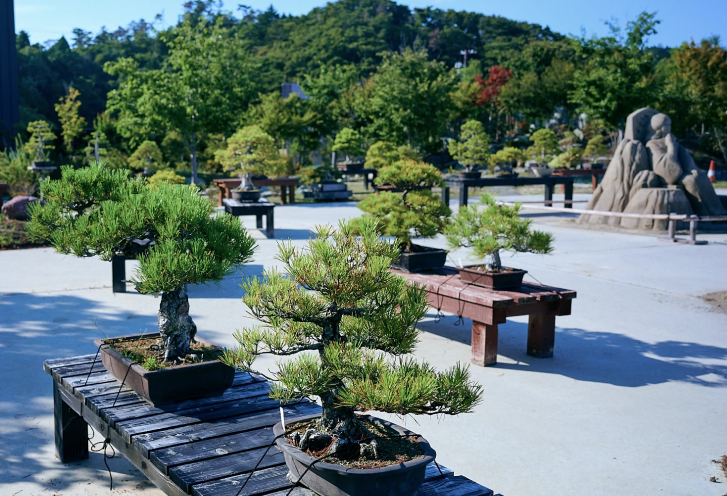 Private Transfer to Matsushima